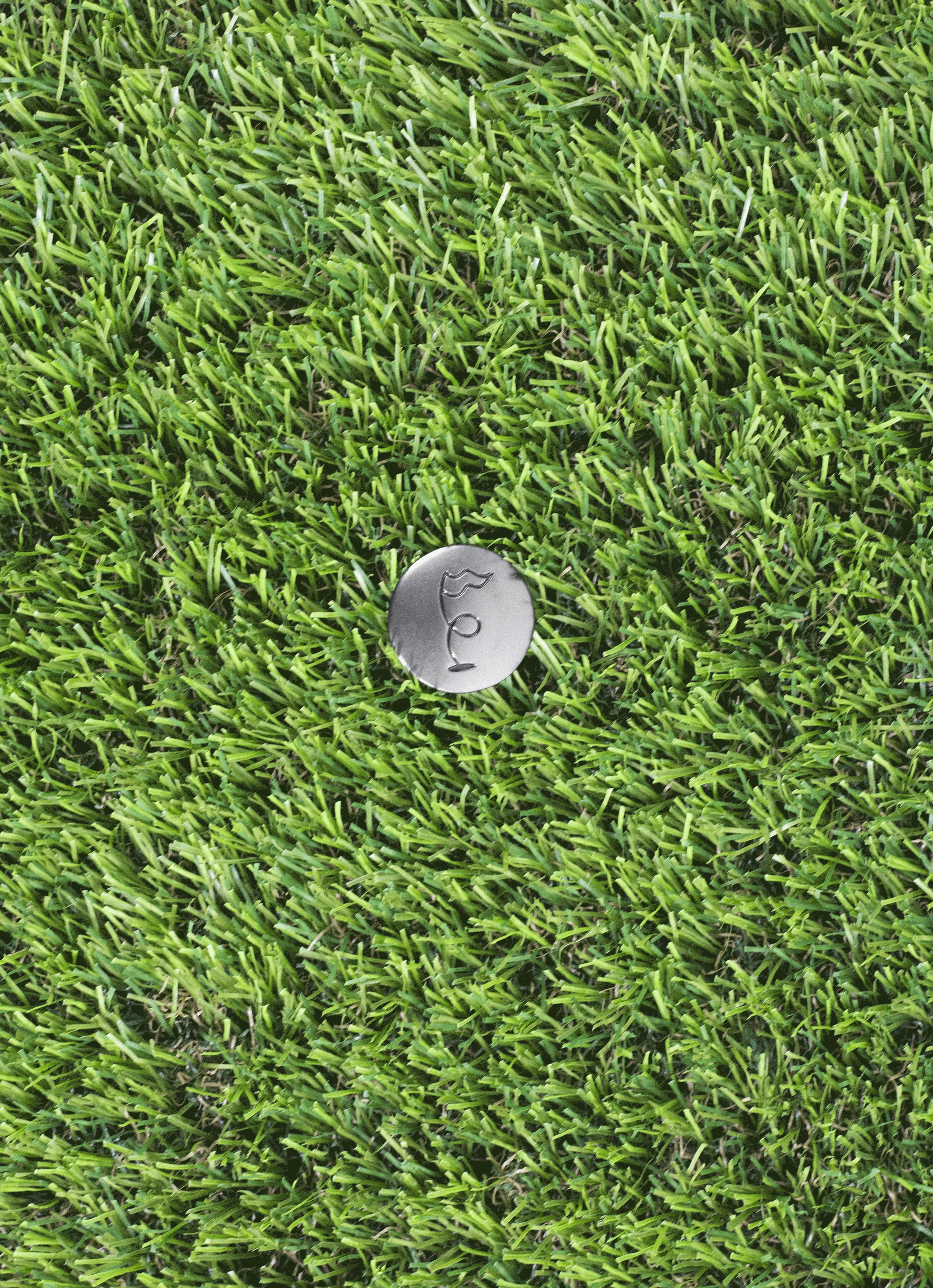 RIPIT Metal Ball Marker - Image 3