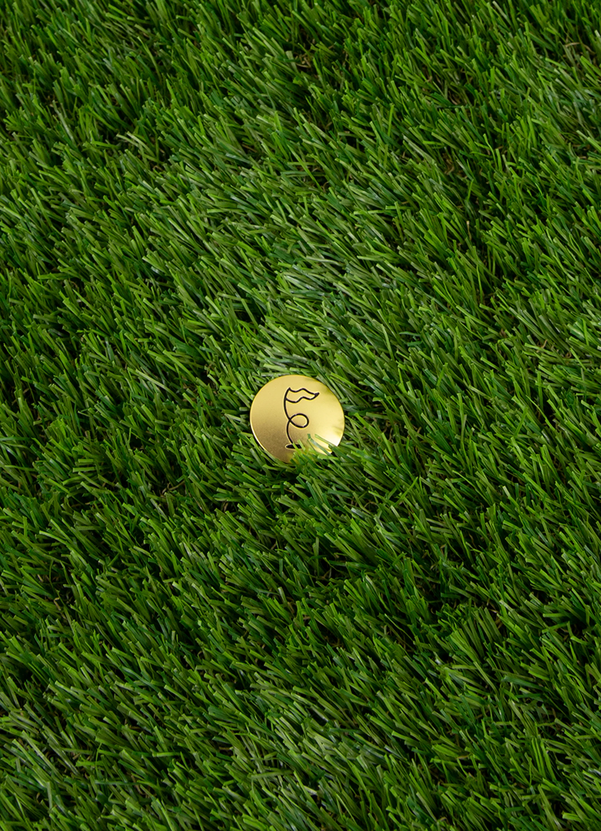 RIPIT Metal Ball Marker - Image 9